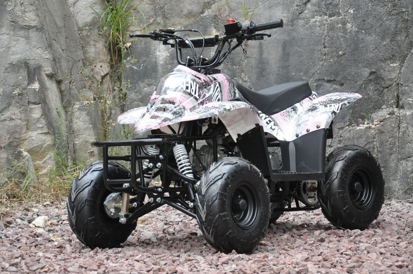 110cc Quad Bike Pink F1